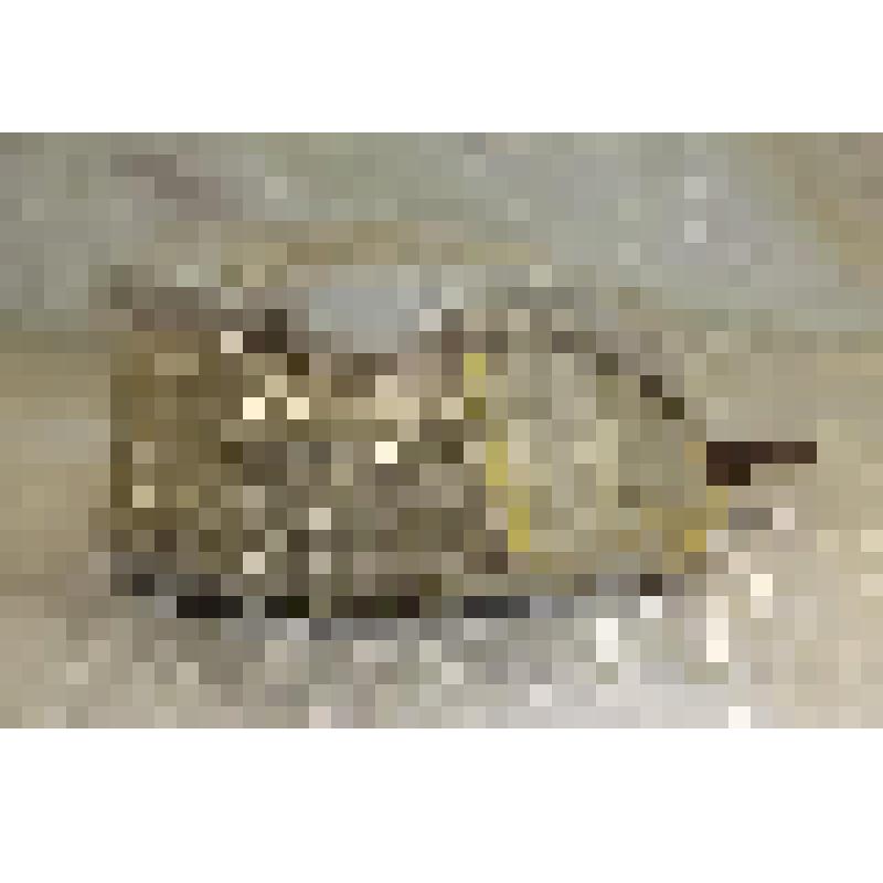 Борушка - убор головной женский