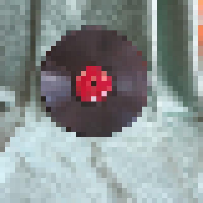 Грампластинка № 14 из альбома "Доклад товарища И.В. Сталина на Чрезвычайном VIII Всесоюзном Съезде Советов 25 ноября 1936 г. о проекте конституции Союза ССР"