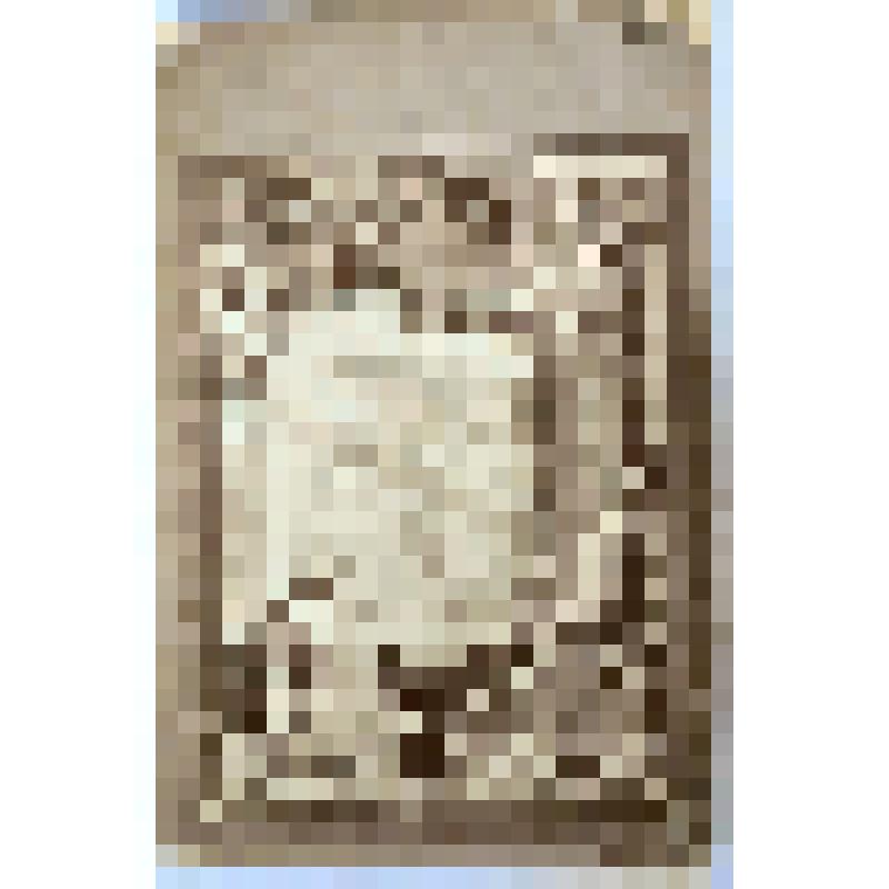 Фотоотпечаток. Карта Пермской губернии в окладе