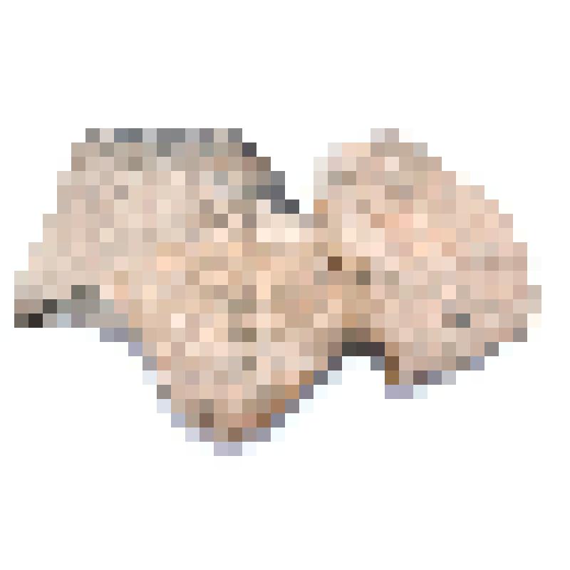 Сосуд (фрагмент)