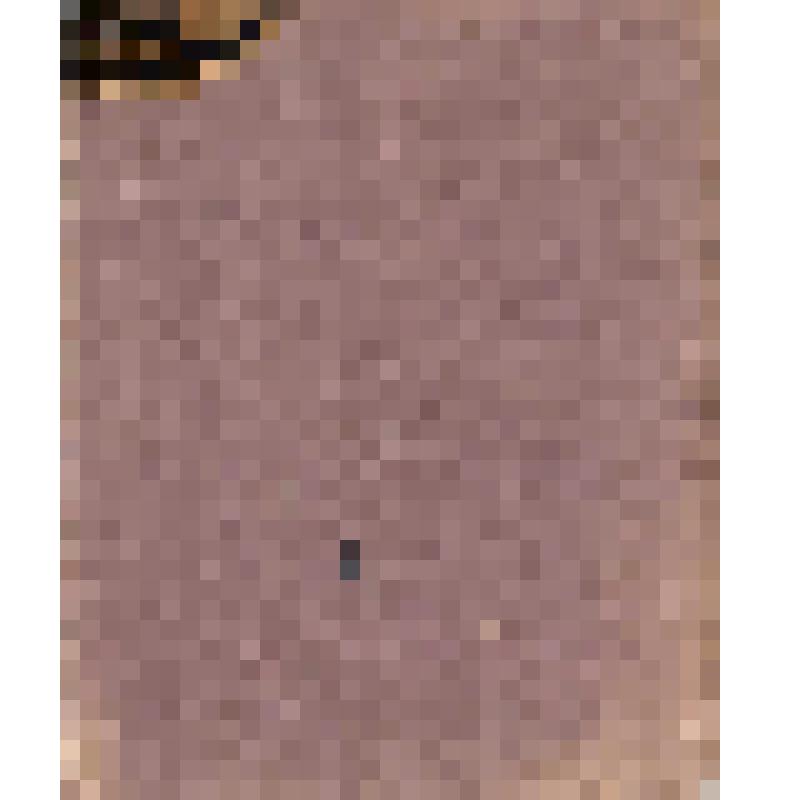 Книга для отправки товаров в Ирбитскую ярмарку Чердынского купца Г.П.Гусева, 15.01.1888 г