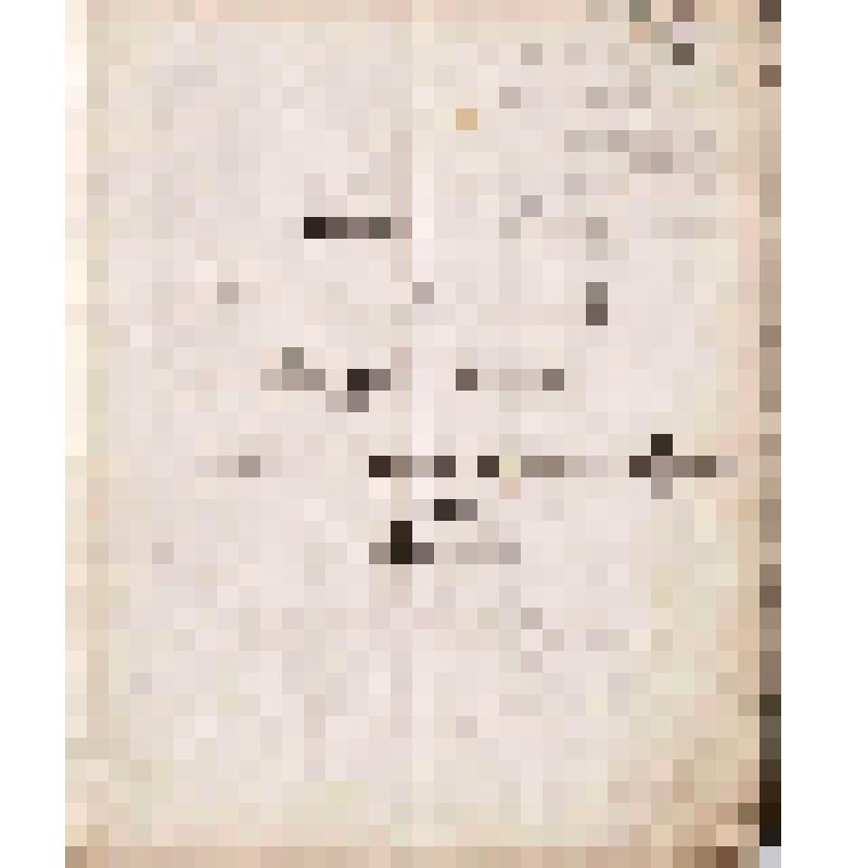 Книга для отправки товаров в Ирбитскую ярмарку Чердынского купца Г.П.Гусева, 15.01.1888 г