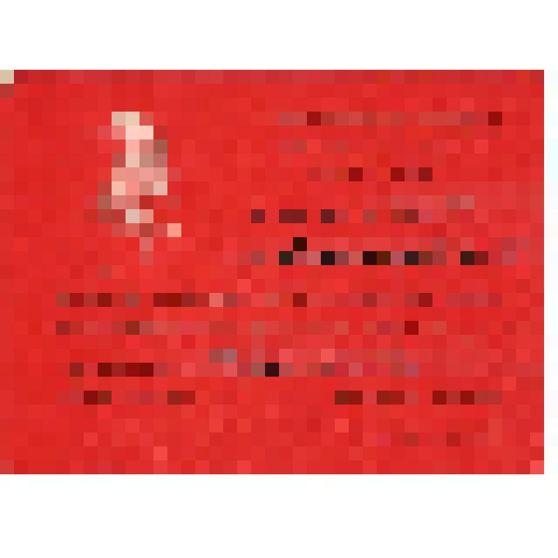 Документ. Мандат № 377 Виноградова Юрия Федоровича, делегата 38-ой конференции Кинешемской городской организации КПСС от парторганизации драматического театра им. А. Н. Островского.  Из коллекции материалов о Виноградове Ю.Ф. (1930-2007), уроженце деревни