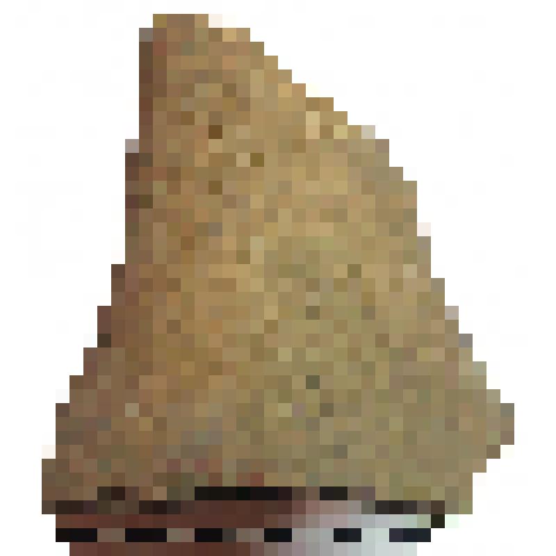 Фрагмент нижней части горла амфоры типа D с дипинто