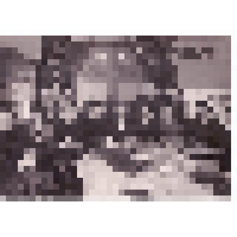 Заседание редакции "Правды"