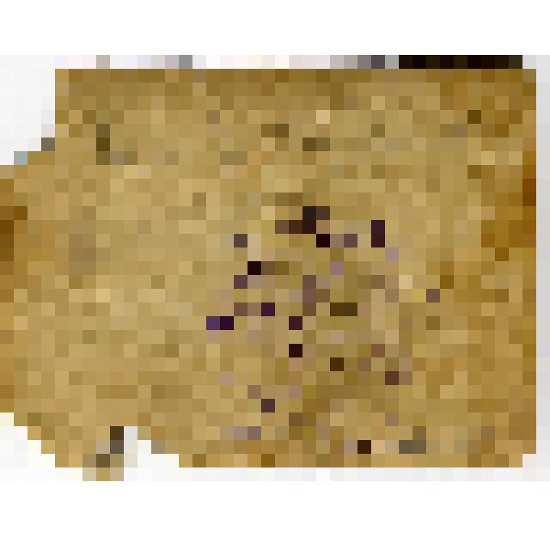 "Ученики науканской школы". Фотография черно-белая