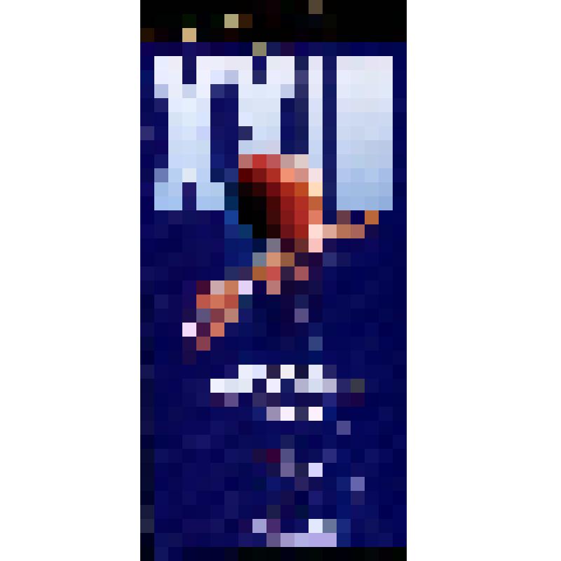 Вымпел. "XXIII Чемпионат мира по хоккею с мячом. 2003"