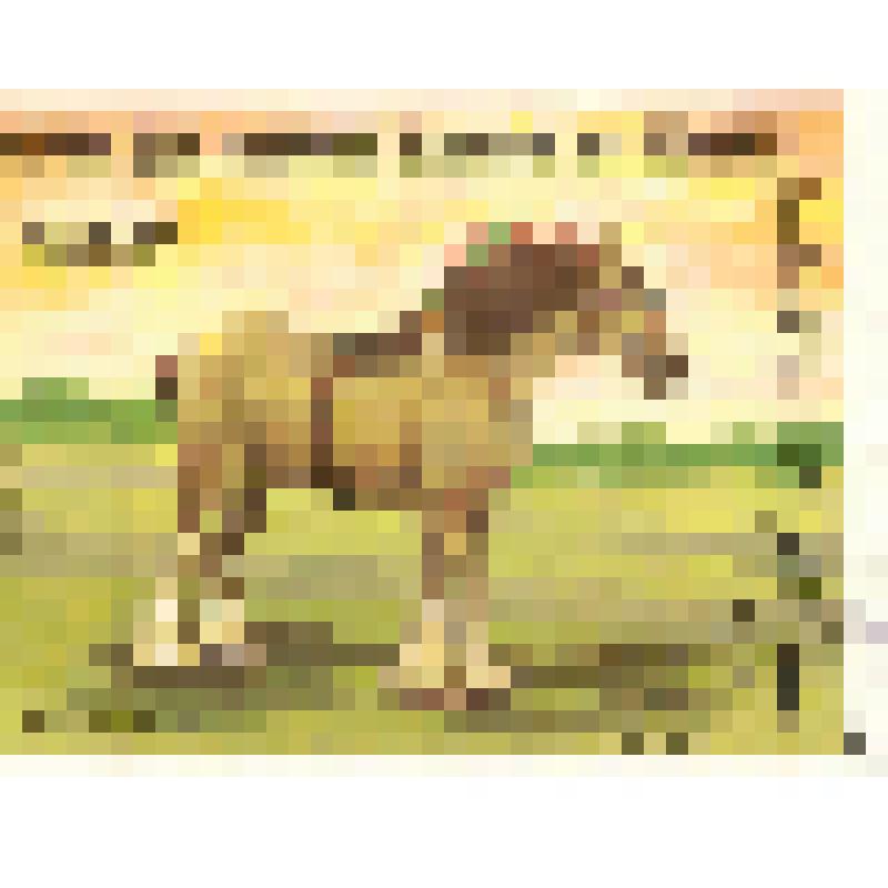 Марка почтовая «Лошади. Clydesdale (клейдесдальская порода лошадей)». Номинал 400 коморских франков