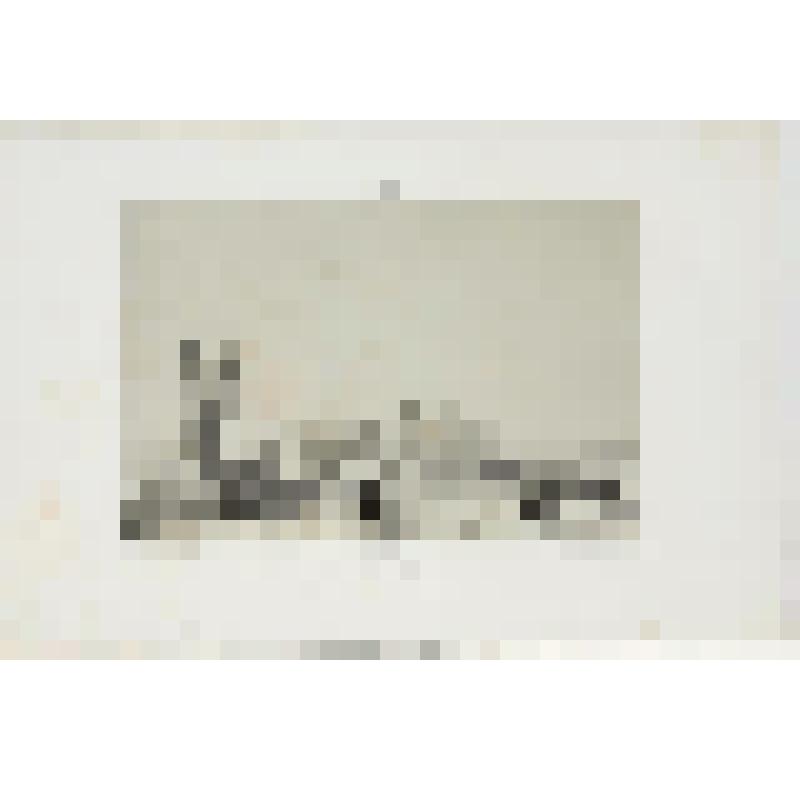 Литография. "Ладога. Шлиссербуржская крепость. Вид со стороны морских верфей."