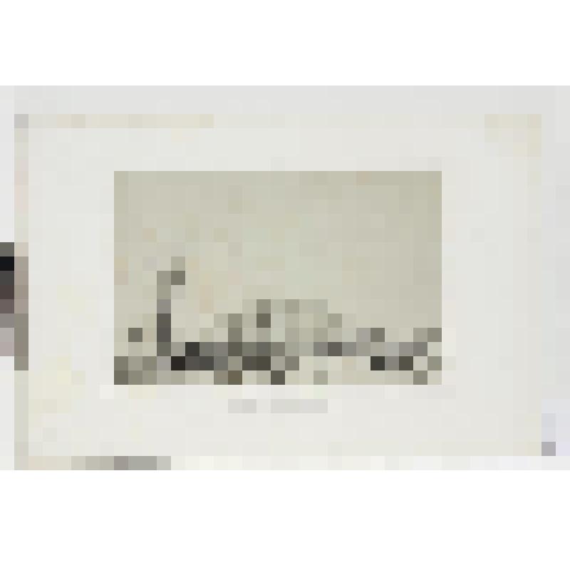 Литография. "Ладога. Шлиссербуржская крепость. Вид со стороны морских верфей."