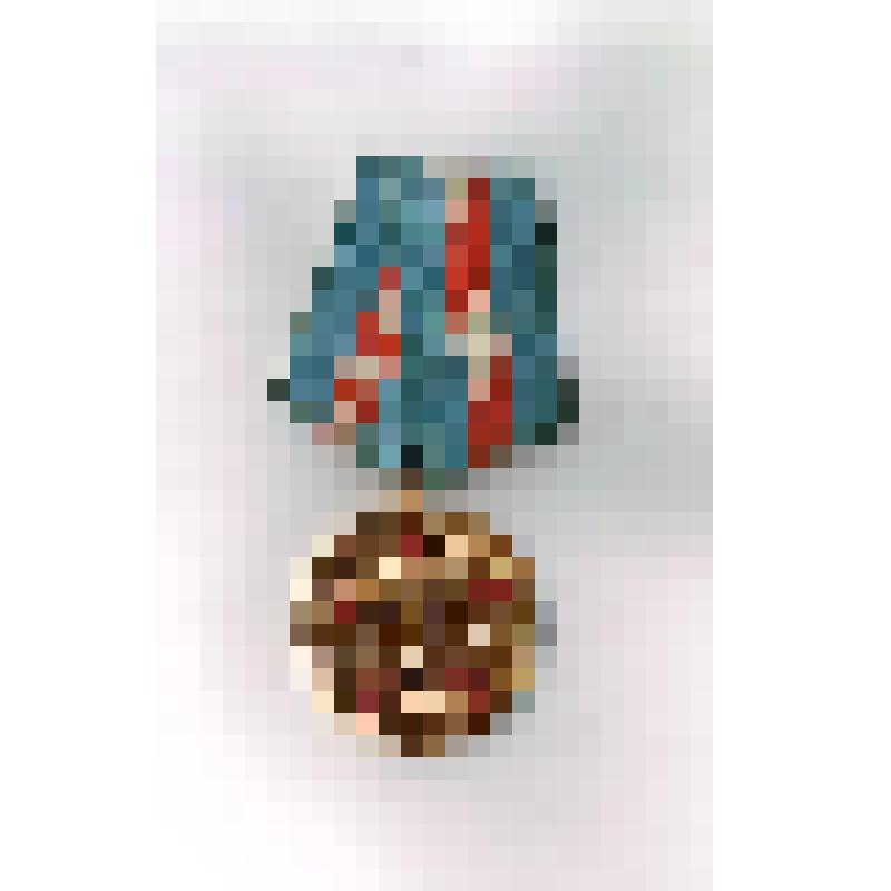 Медаль "50 лет Вооруженных сил СССР". СССР