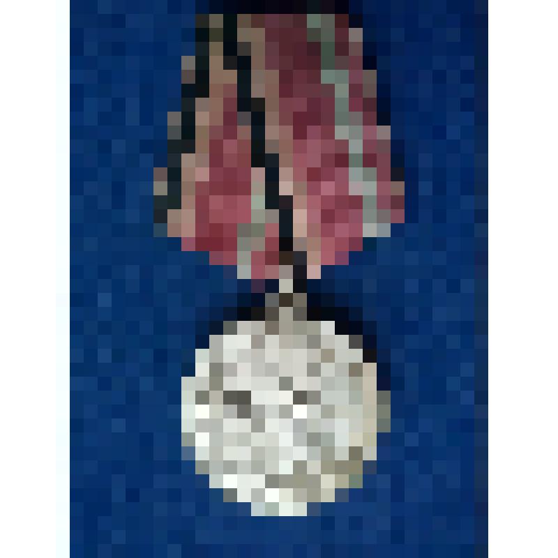 Медаль юбилейная "Тридцать лет Победы в Великой Отечественной войне 1941-1945гг."