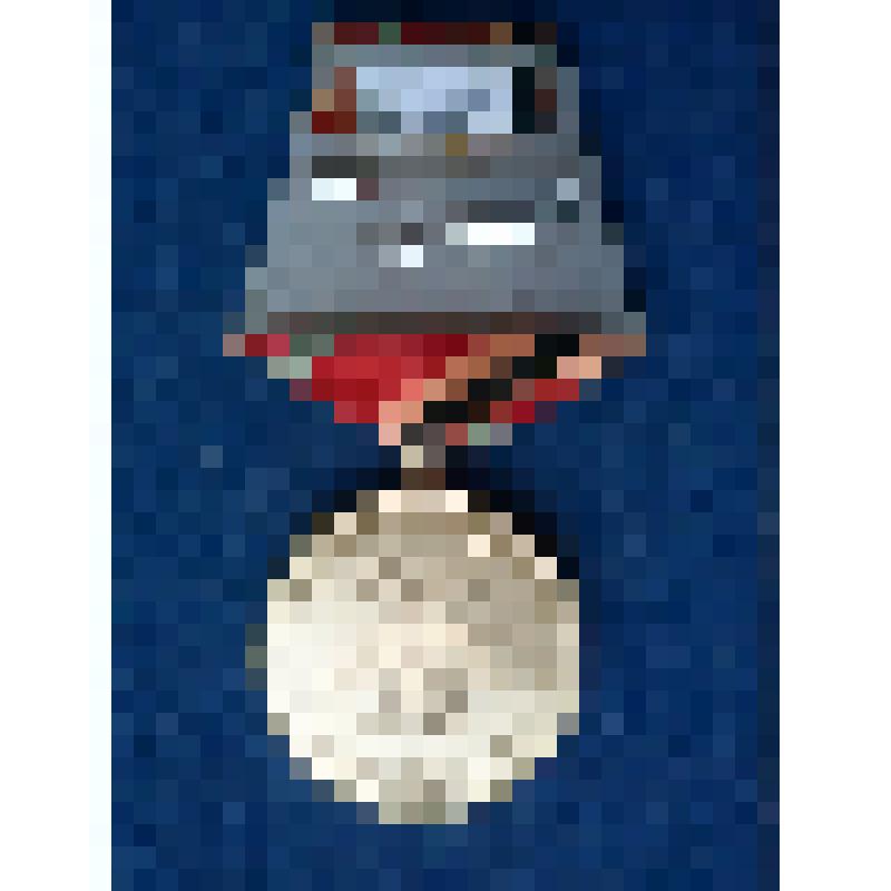 Медаль юбилейная "Тридцать лет Победы в Великой Отечественной войне 1941-1945гг."