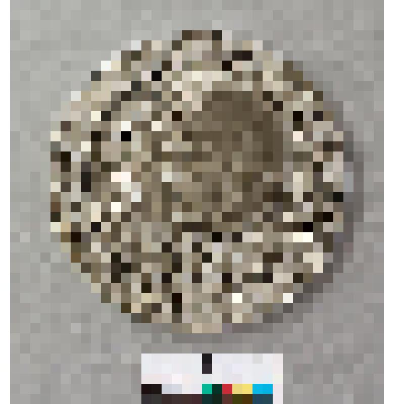 Медаль юбилейная "ХХХ лет советско - польского боевого содружества. 1943-1973. Ленино"