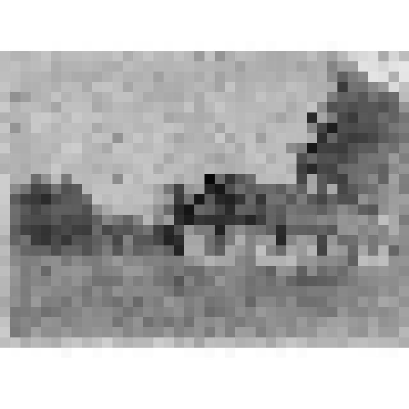 Одноэтажные дома, заселенные военными