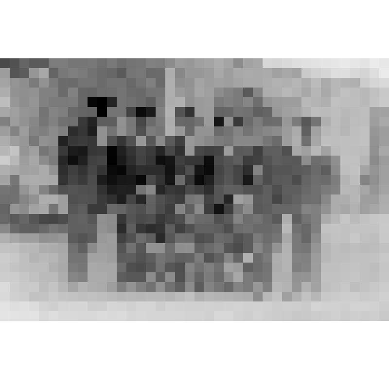 Сотрудники уголовного розыска Азовского ОВД перед строевым смотром