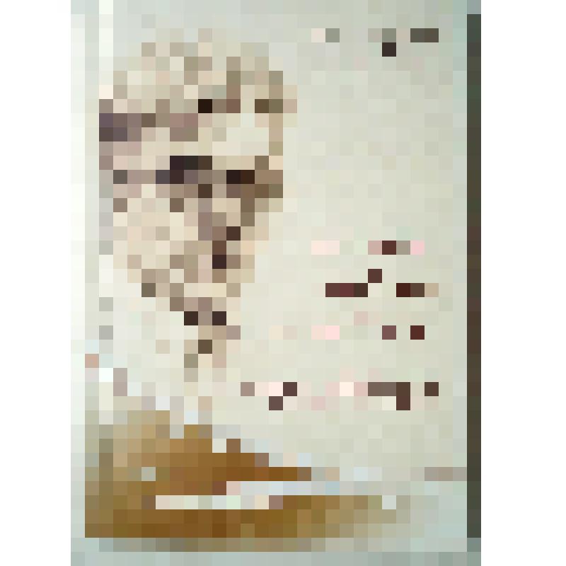 Книга "И слово добром отзовётся... Воспоминания народного художника СССР Ивана Андреевича Язева"