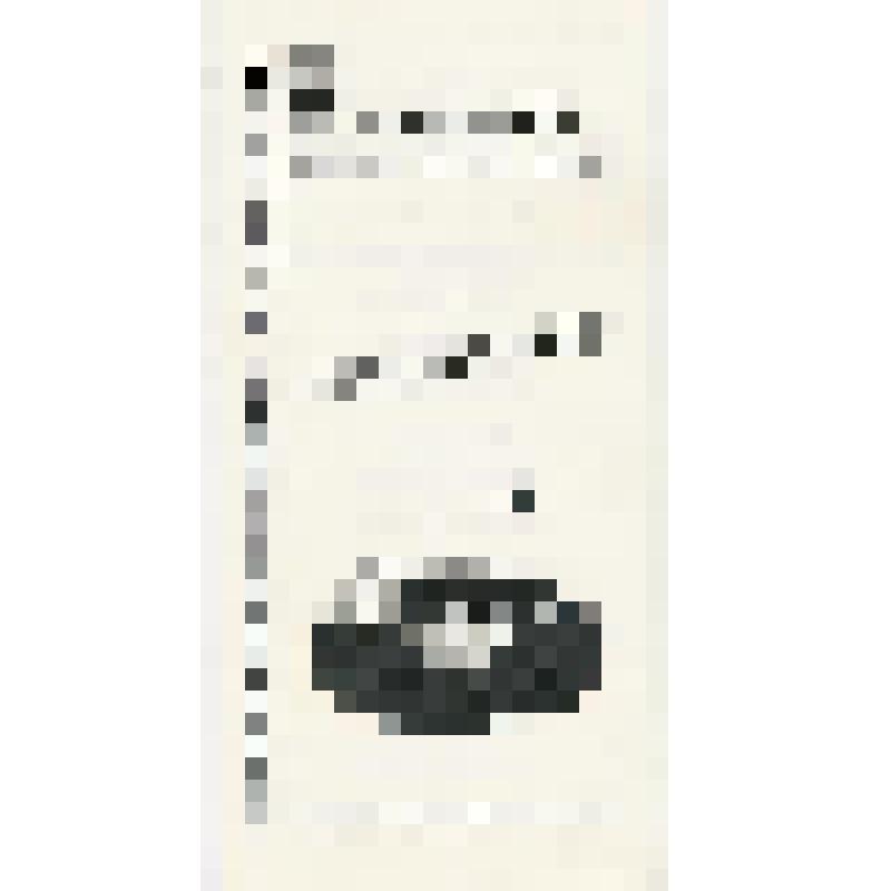 Программа театрально-музыкального представления "Зримые песни войны"