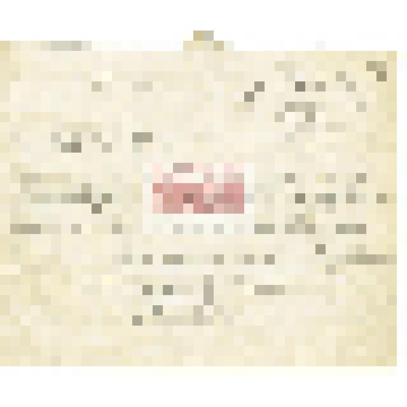 Телеграмма руководства Кяхтинского музея Мартьянову с приглашением на его открытие, которое состоится 13. 07. 1894 г