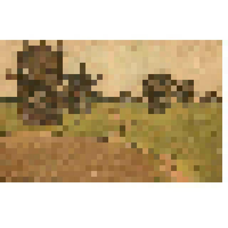 Тотемск. уезд. Волог. губ. из Коллекциии открыток, собранной А.В Недошивиным. Альбом № 11. Открытка почтовая