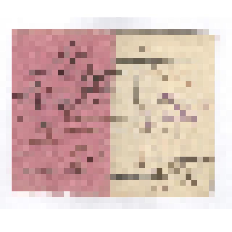 Партийный билет Бродникова Константина