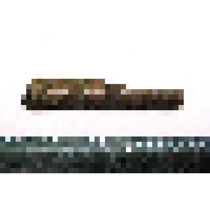 Звено трости (фрагмент)