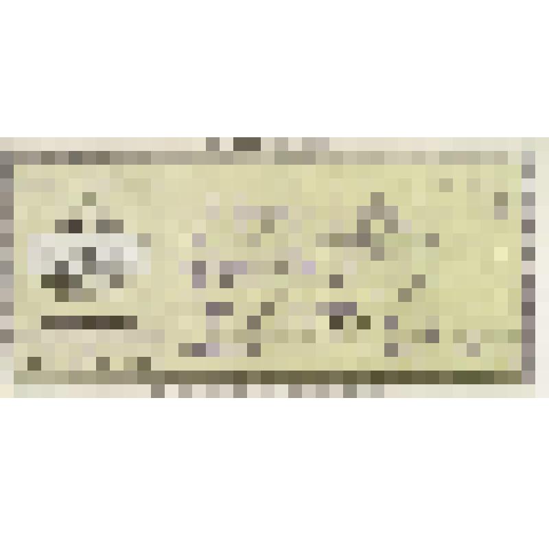 Документ. Финансовый перевод на имя Разнак Анны. На бланке. На английском языке
 (

























































































































)