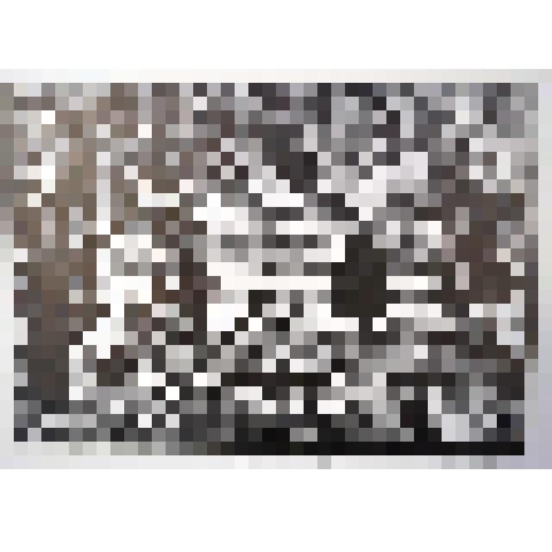 Печатный оттиск "Савкина горка", 2017 г