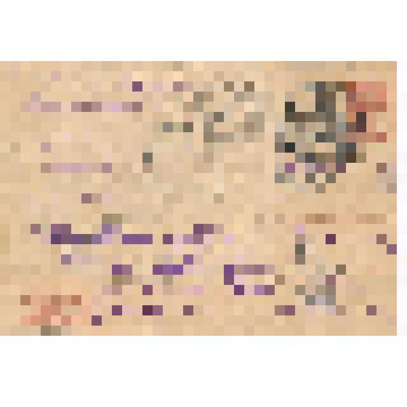 Письмо (на почтовой карточке). Родичевой А.Е. - сыну Родичеву И.С