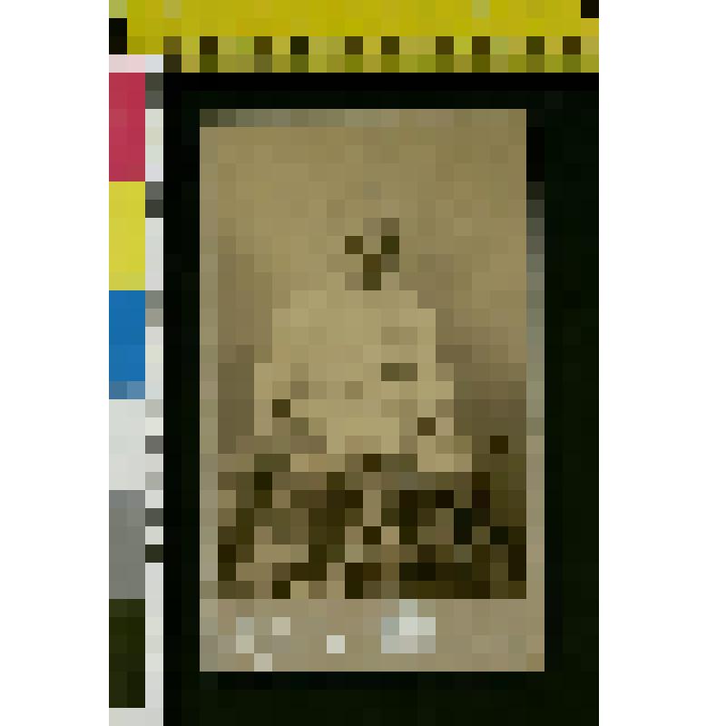 Фотография: Портрет Михаила Ильича Толстого (1893-1919)