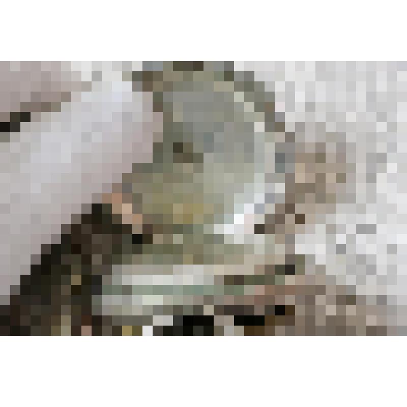 Часы карманные фирмы «La Perfection» № 148717