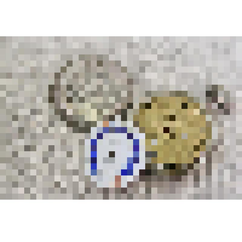 Часы карманные фирмы «La Perfection» № 148717