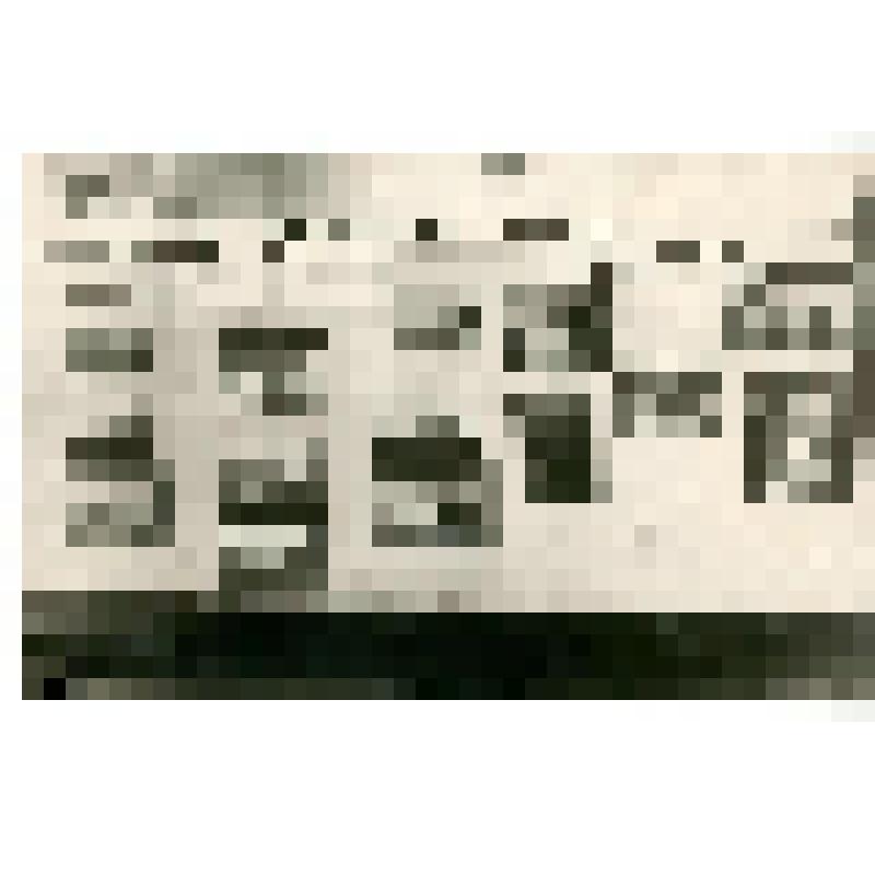 Фотография. Стенд «Революционная Якутия»