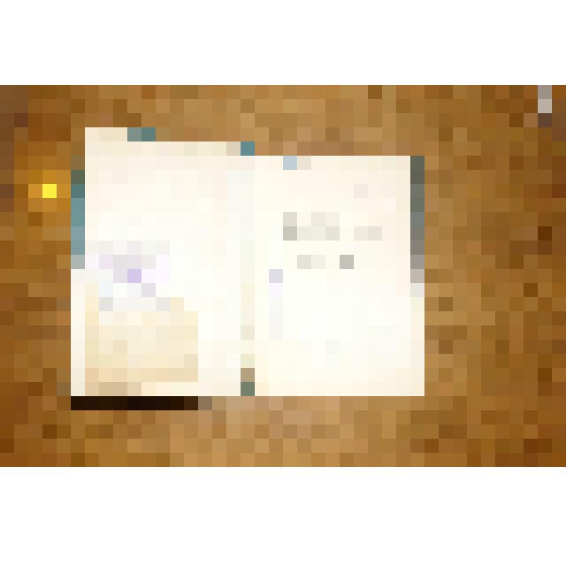 Книга на немецком языке. Иоханес Р.Бехер. Сонеты. 1935-1938. Москва. 1939 г