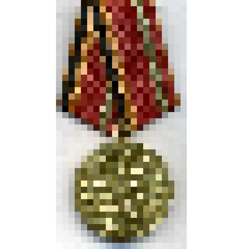 Медаль юбилейная "30 лет Победы в ВОВ"