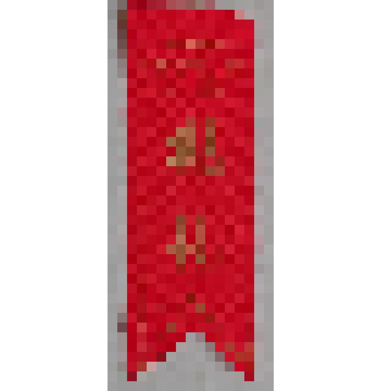 Билет № 000500 участника парада в  честь  12-летия образования  КНР Луконина М. К.  КНР.  30.09.1961 г.  Музей-квартира М.К. Луконина