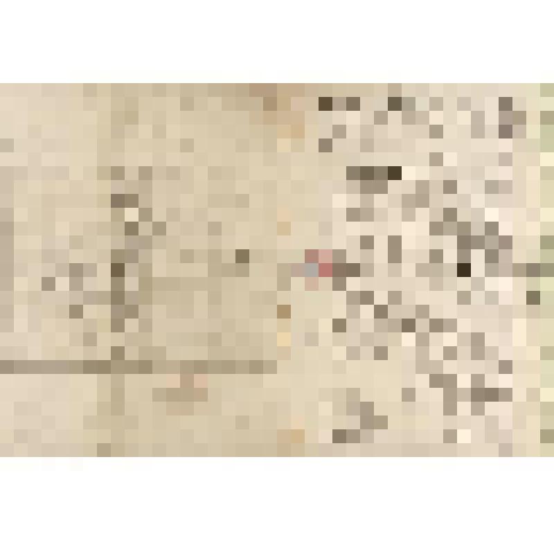 Документ. Письмо ХVIII века секретарю Головкову Алексею Дмитриевичу от настоятеля монастыря отца Михаила. " Милостивый государь мой Алексей Димитриевич..."