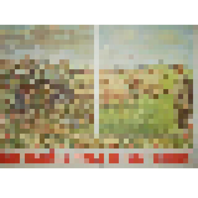 Плакат. "Улучшайте луга и пастбища!"