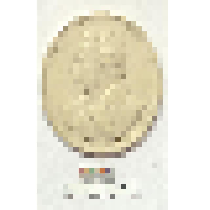 СССР. Овальный медальон с портретом А.С. Пушкина