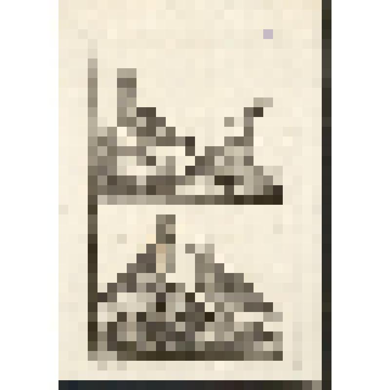 "Histoire Naturelle. Pl. X. Fig. 1. Piette Male.Fig. 2. Le canard Siffleur. Fig.3.Le Petrel. Fig.4.Le Puffin. Antonio Baratti sc. Гравюра