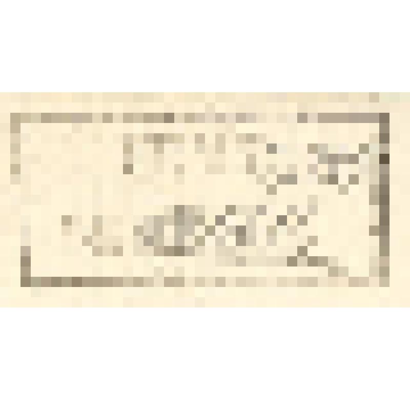 "Histoire Naturelle. Pl. X. Fig. 1. Piette Male.Fig. 2. Le canard Siffleur. Fig.3.Le Petrel. Fig.4.Le Puffin. Antonio Baratti sc. Гравюра