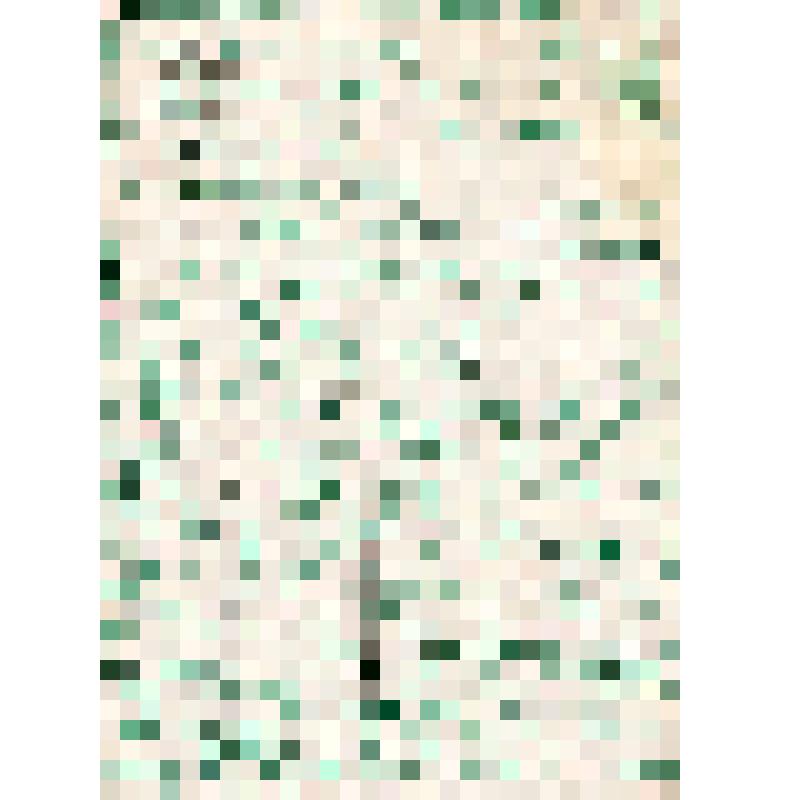 Письмо В.И. Караваевой