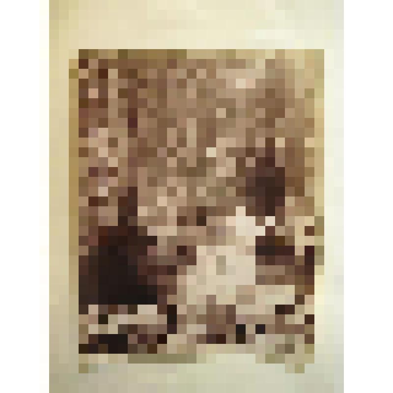 Храм Фортуны. Италия. Палестрина. Храм Фортуны. Внутренний вид