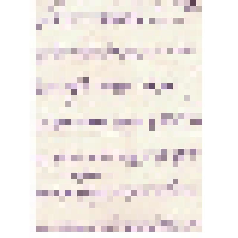 Сообщение Никитского "Баптисты и их проделки"