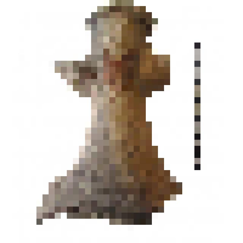 Горло амфоры типа D с дипинти