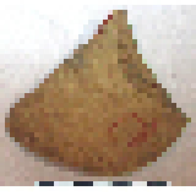 Фрагмент нижней части горла с частью плеча амфоры типа D с дипинто