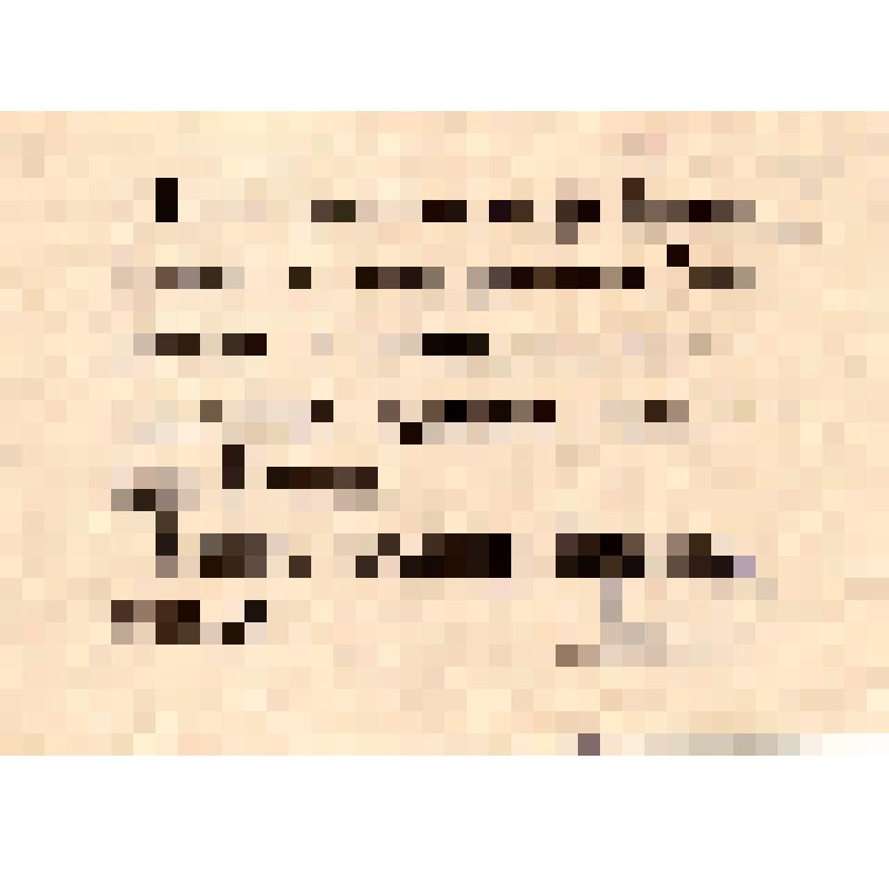 Листовка-лозунг. "Польские паны несут безработицу и голод рабочим, безземелье и помещичью плеть крестьянам, царскую кабалу всей России. Смерть польским белогвардейцам!"