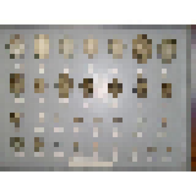 Мухоловка-пеструшка. Мухоловковые. Из коллекции птичьих яиц