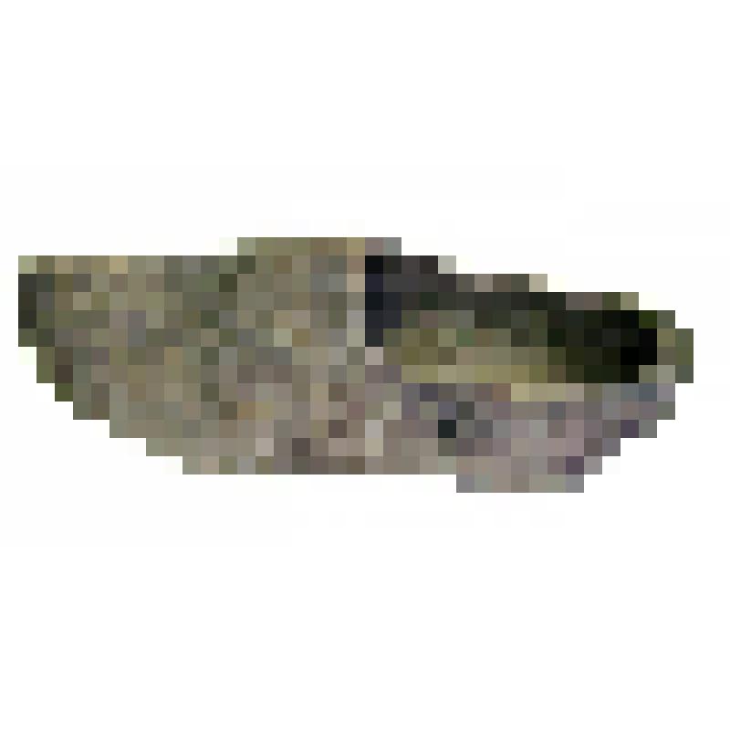 Туфля долбленая из дерева. Немецкий деревянный башмак (клумпа)