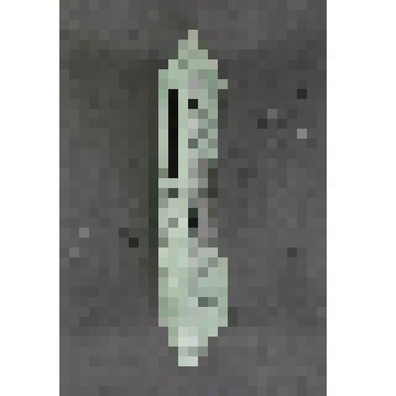 Книга. Тюрин Г.А. Иосиф Каллиников и народная культура Орловского  Края: Монографическое исследование (с приложением) в 4-х книгах.- Кн. 4. Приложение 3.- Образ змеи в творчестве И.Ф. Каллиникова. Заговоры. Сказка. Повесть. -Орел: Орловский государственны